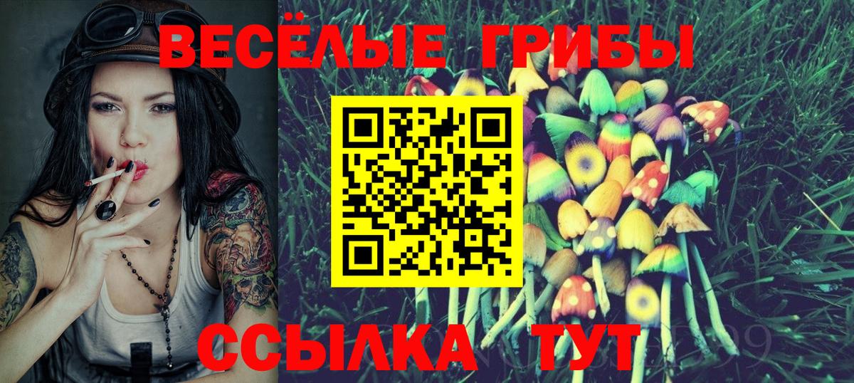 Псилоцибиновые грибы Cubensis Ржев