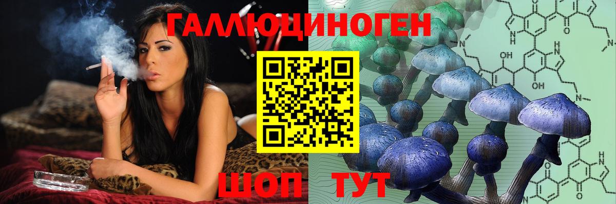 Ржев  Галлюциногенные грибы ЛСД  Вход с VPN 